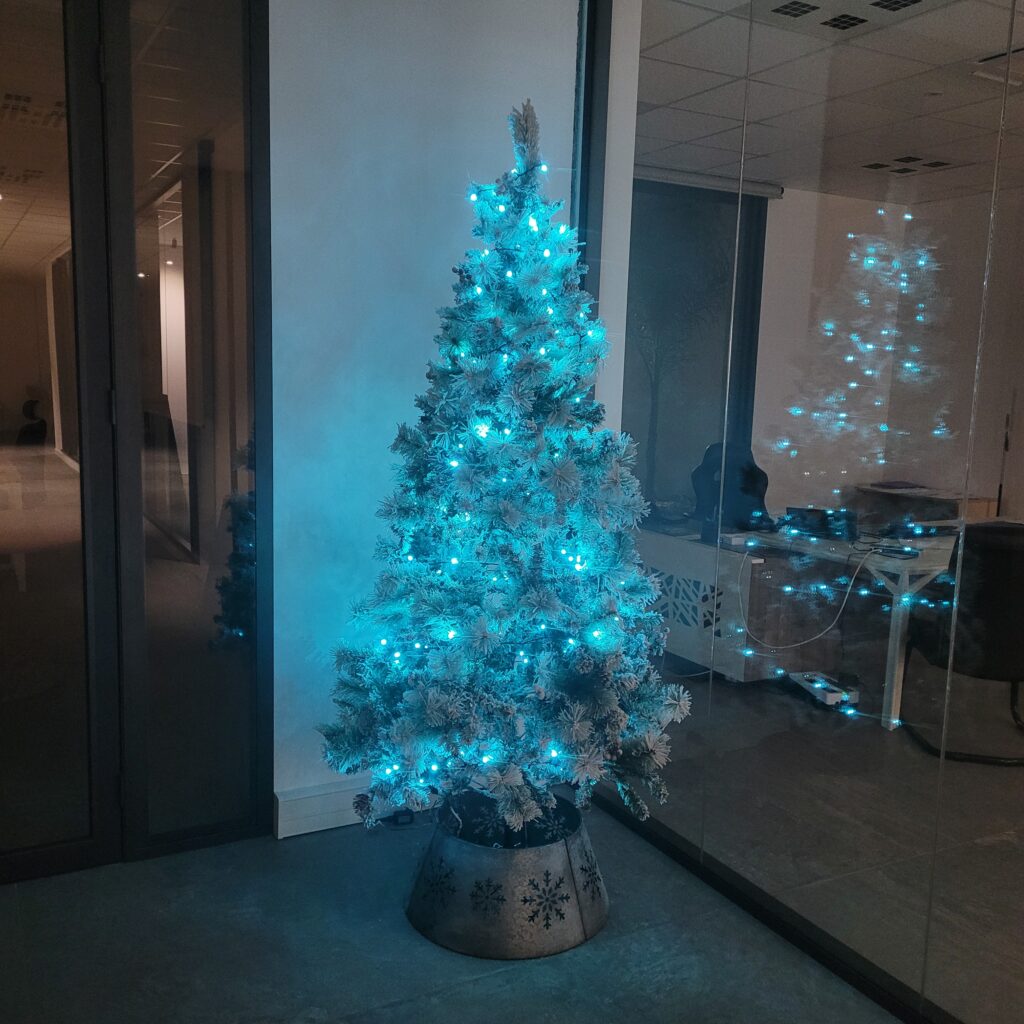 Sapin enneigé Winchester bleu JoGGin - entrée principale